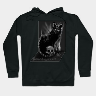 Schrödinger's cat Hoodie